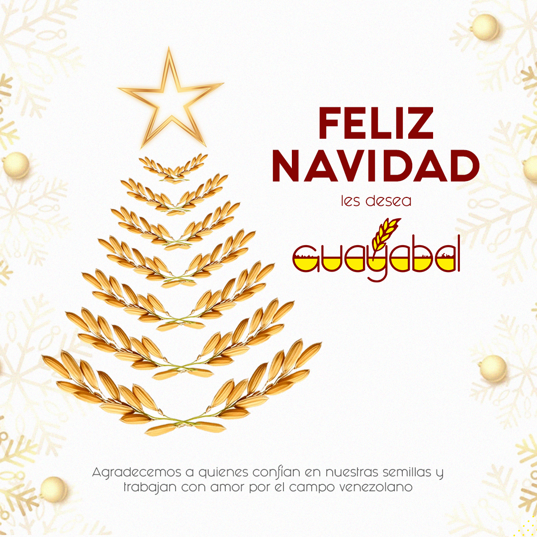 feliz navidad guayabal