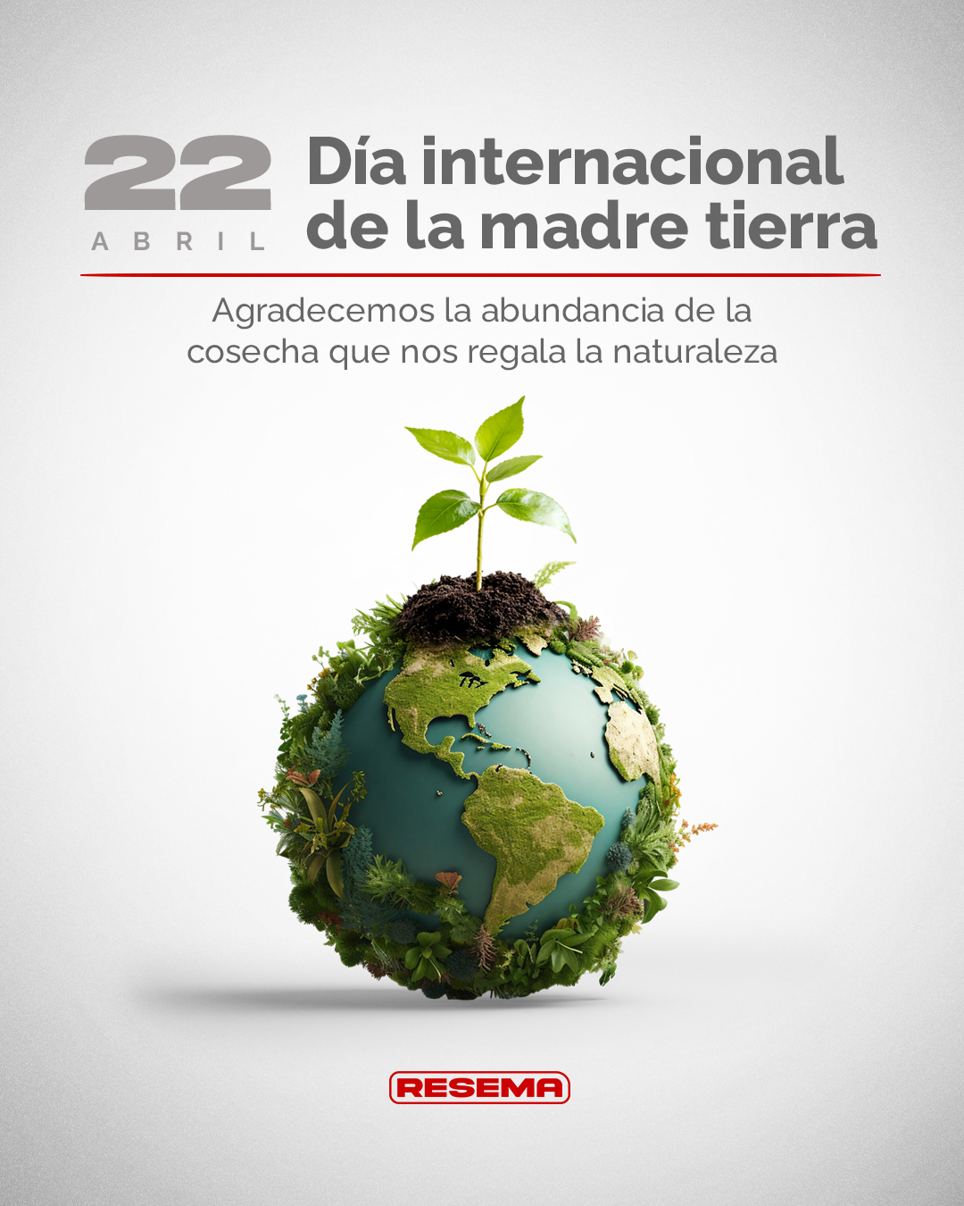 mundo planta